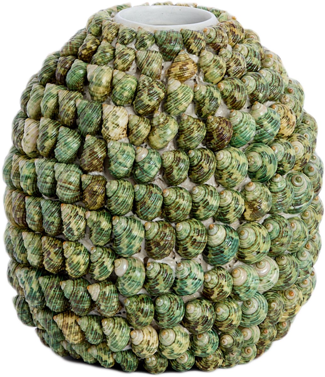 Light & Living Vaas SHELL - Ø33x37cm - Groen