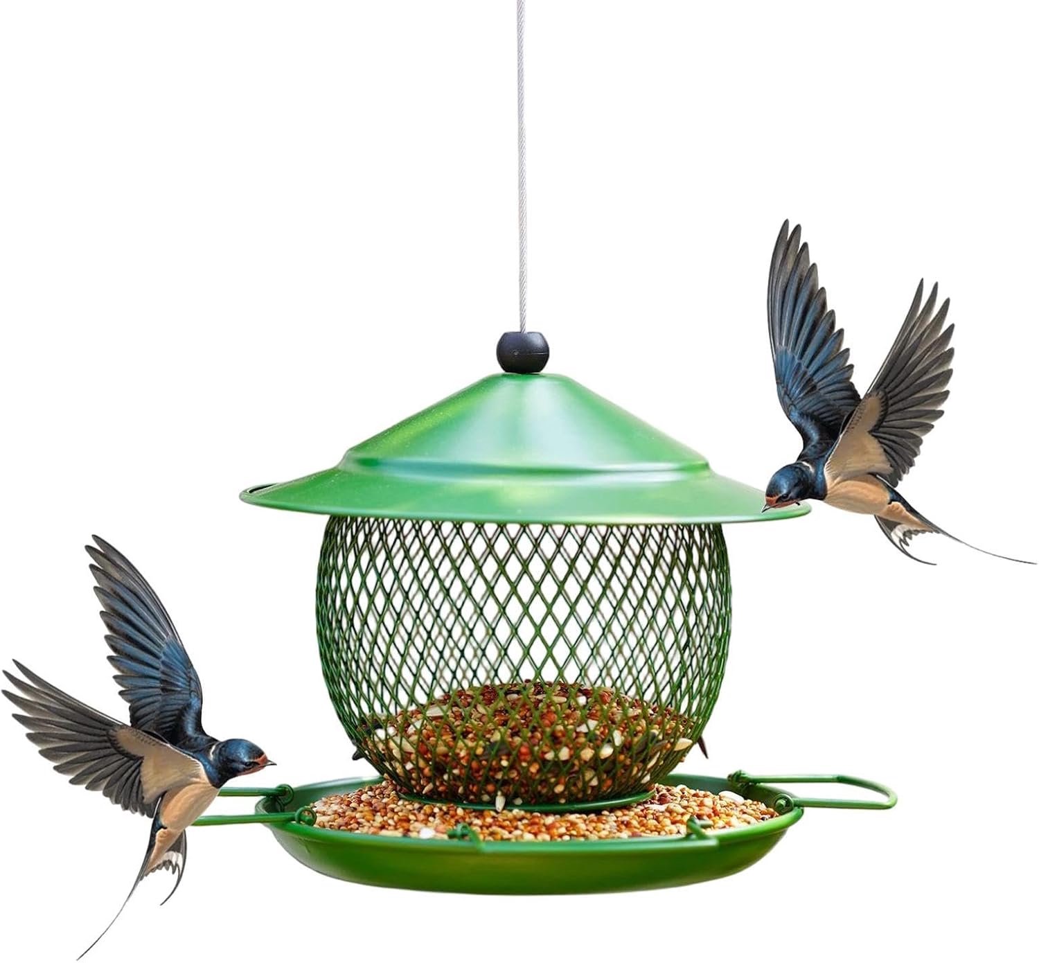 Vogelvoeders voor buiten Bluebird voedselcontainer