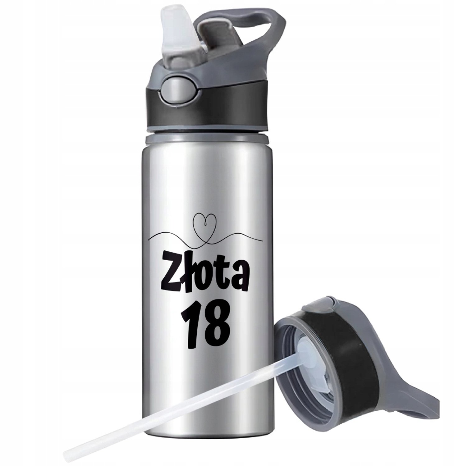 Aluminium Sport Bidon 650ml met Rietje en Handvat - Zilver
