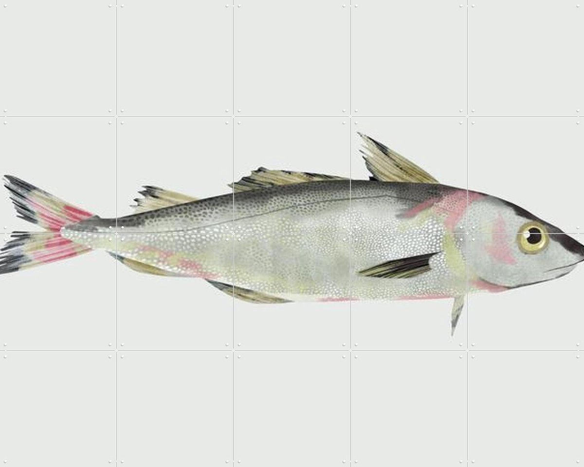IXXI Haddock, Merel Corduwener - 100 x 80 cm - Gratis ophangtool - Grote wanddecoratie en posters - Realisme, Illustraties, Keuken, Woonkamer