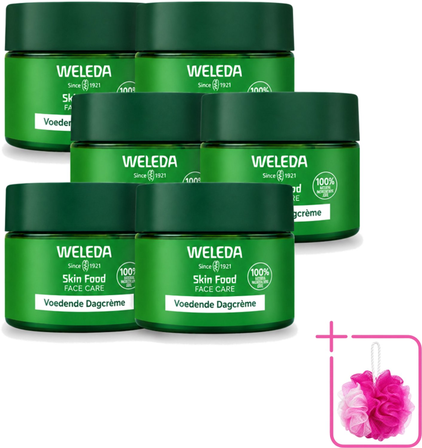 6 x WELEDA - Dagcrème Skin Food - Voedend - 40 ml - Bulkverpakking - Huidverzorging - Douchemop - Voedende crème