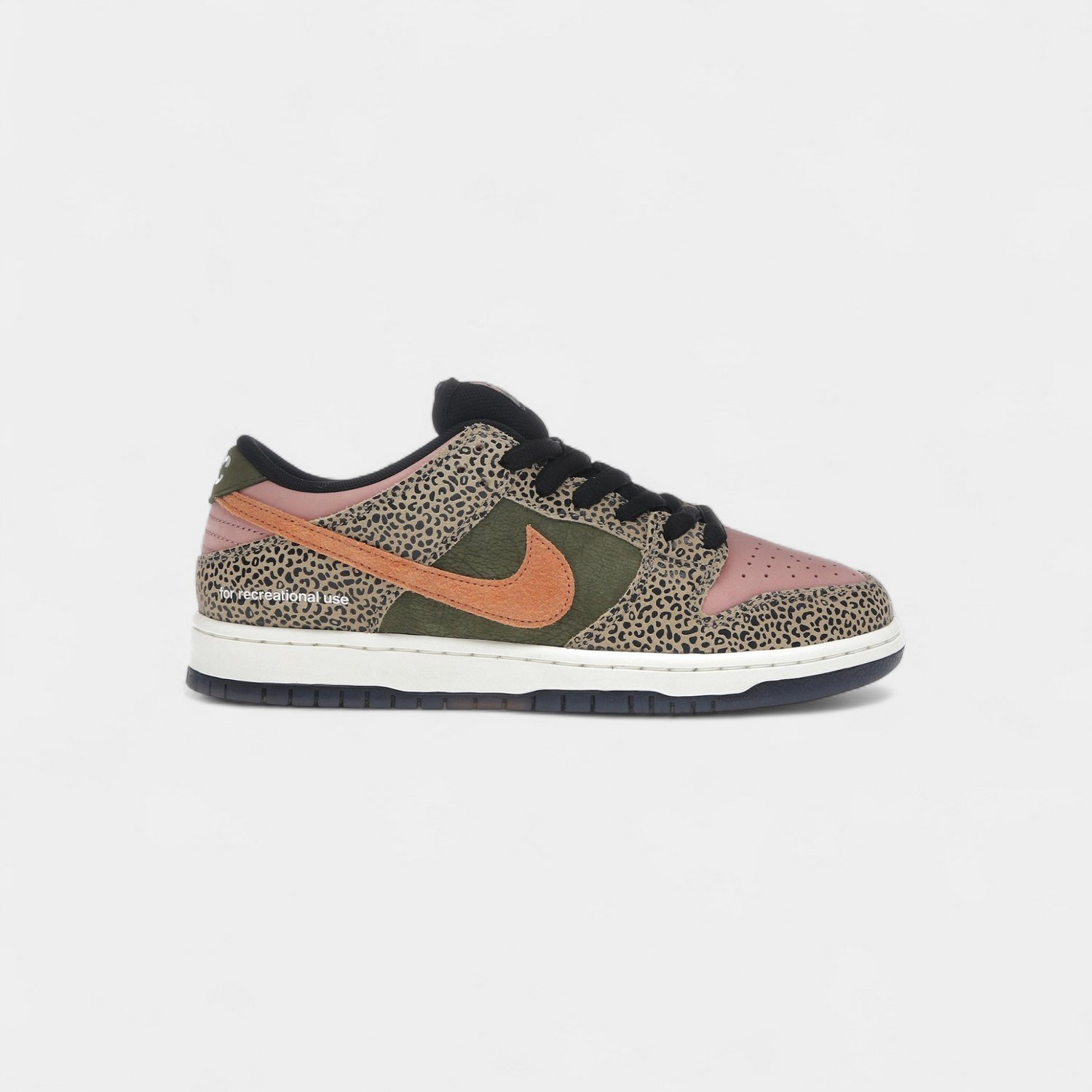 Nike SB Dunk Low Arts-Rec Wit