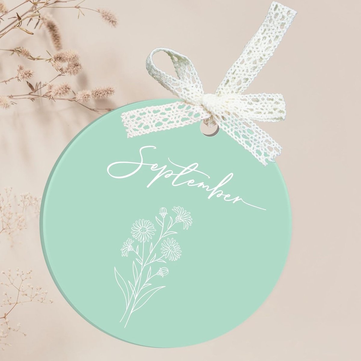 12 stuks ronde acrylplaat om te knutselen, doe-het-zelf acryl kerstversieringen, 3 mm 1/8 inch platte kerstballen voor handwerk, unieke doe-het-zelf sleutelhangers, cadeaulabel, bruiloft