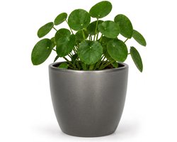 Floran Bloempot Boule - metallic - zilver - keramiek - D15 x H13 cm - plantenpotten binnen