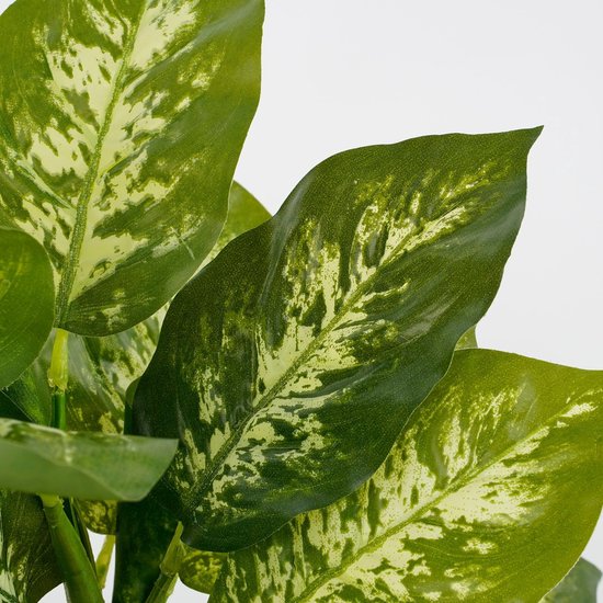 Gros plan détaillé de feuilles vert foncé avec des éclaboussures et des motifs de couleur crème, partie d'une plante artificielle.