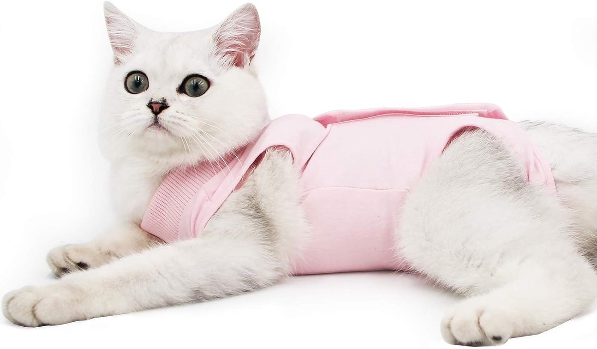 Professionele Herstelpak voor Buikwonden of Huidziekten, E-kraag Alternatief voor Katten en Honden Na Chirurgie Thuiskleding (M, roze)