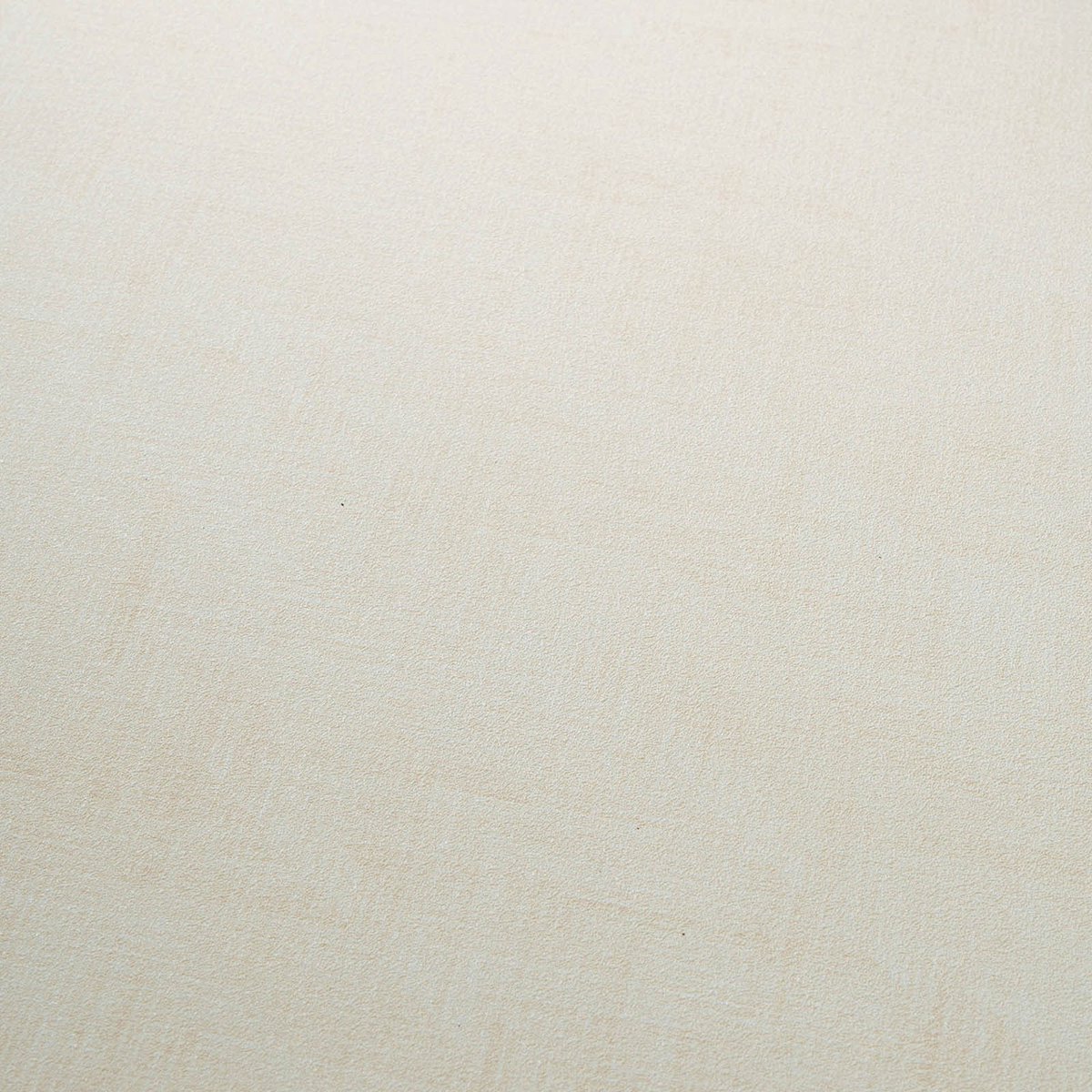 Erismann vliesbehang 10589-14 grafisch patroon crème