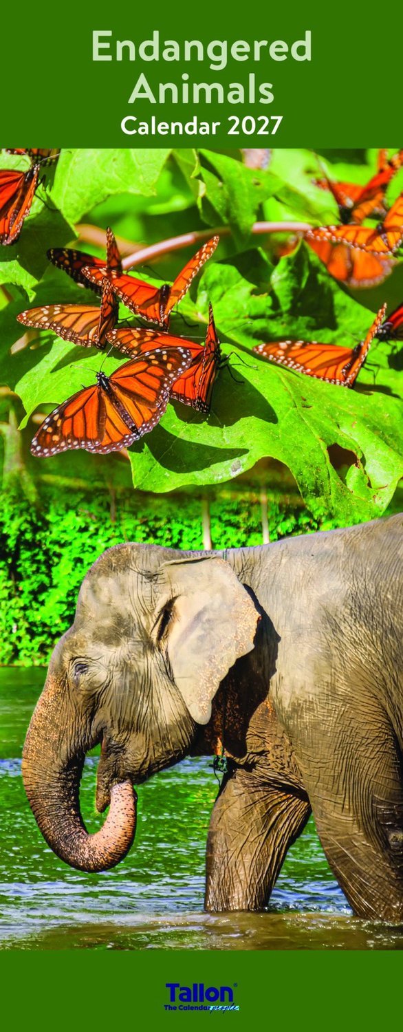 Animals Kalender 2027 Slimline