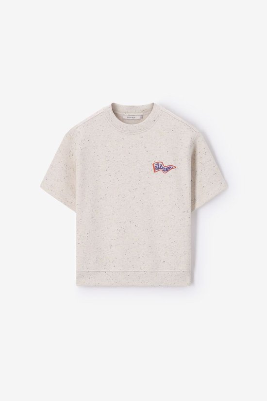 Grijze Sweater Met Korte Mouwen