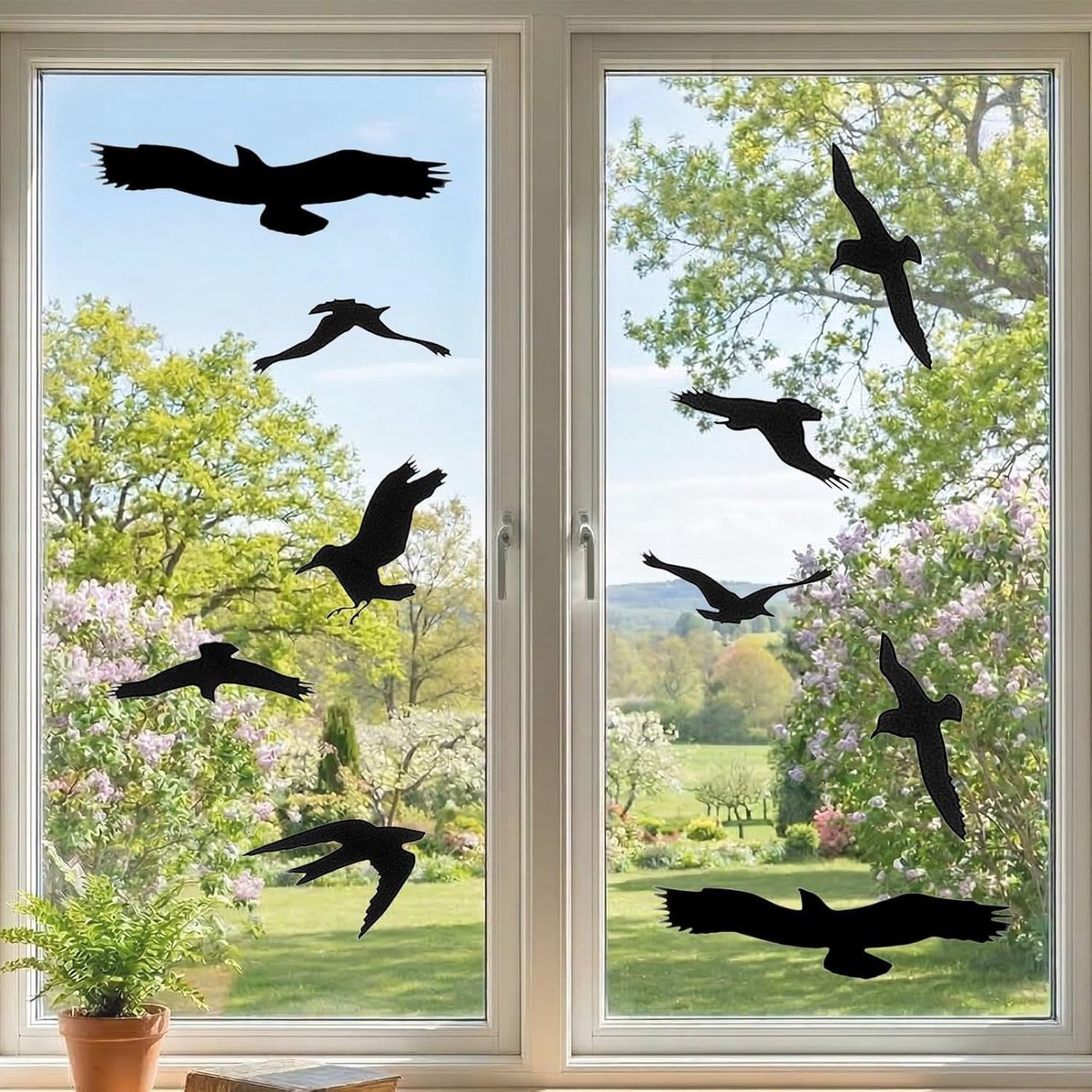 Vogelbescherming Stickers voor Ramen en Deuren - Silhouetten voor Veiligheid van Vogels, Zwart, Transparant en Effectief