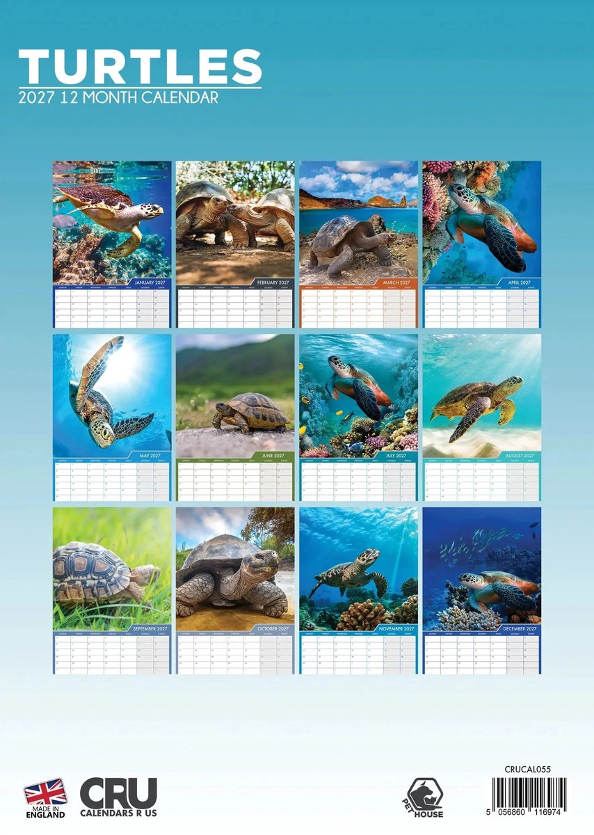 Schildpadden A3 Kalender 2027
