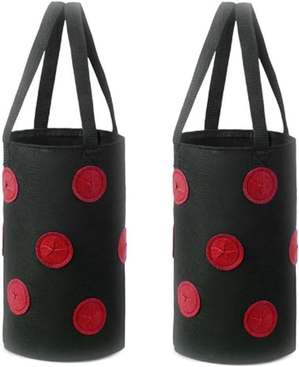 2 Stuks Aardbeientassen met 13 Gaten en Bodemopeningen voor Hangende Aardbeienplanten - 3 Gallon, 20cm x 35cm, Ideaal voor Verticale Tuinbouw en Groenten kweken