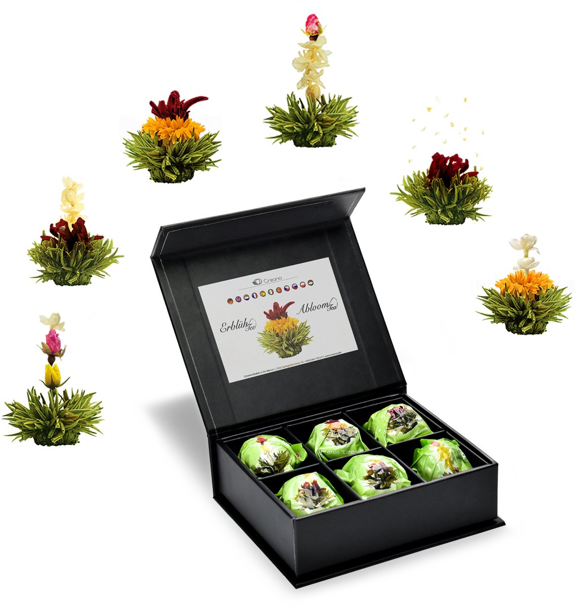 Magneetbox met 6 stuks ErblühTee groene thee