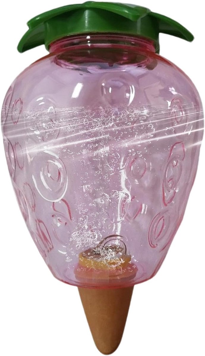 Water Globes Kamerplanten - Automatische Watergever - Planten Hydrateren - Zelfregulerende Irrigatie - 9.7 x 5.9 x 10.4 cm - Transparant