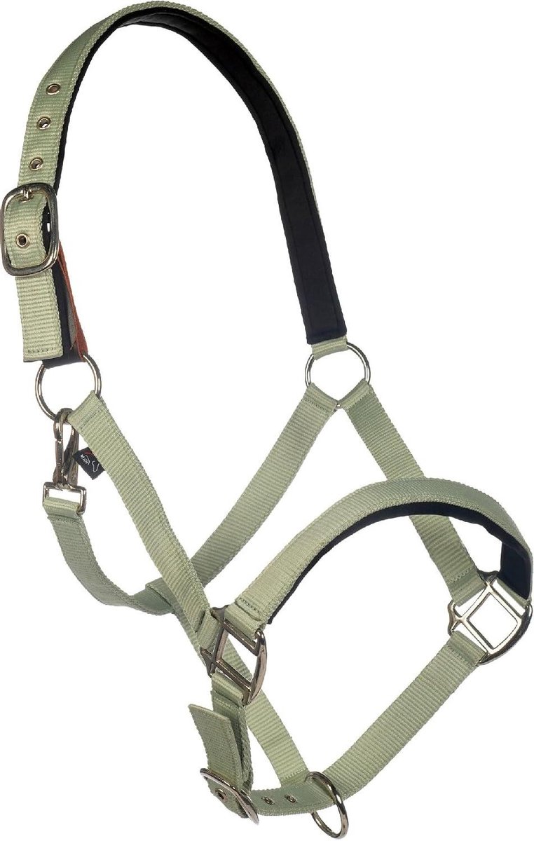 Paardenhalster - Halter Paard - Dagelijks Gebruik - Neopreen Voering - Pony Maat - Jade Groen