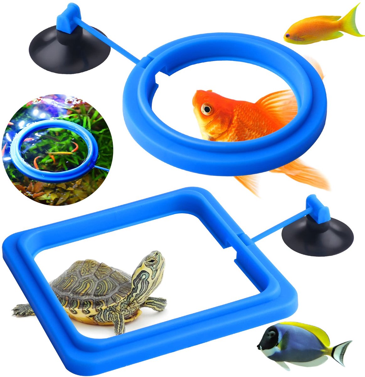 Dailygoods - Visvoederring Set van 2 voor Aquariumvissen en Schildpadden