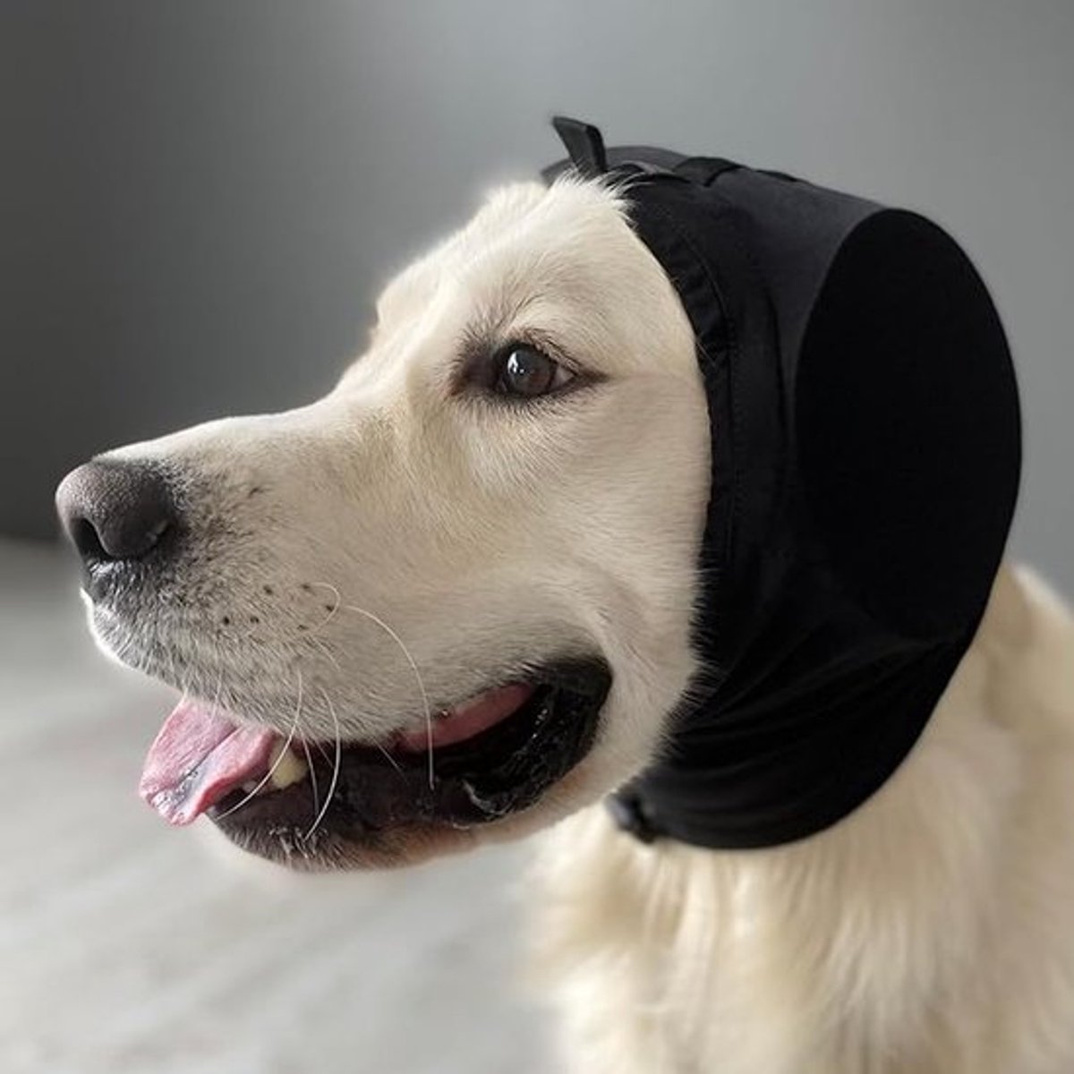 Geluidsdempende oorkappen voor honden - Gehoorbeschermende koptelefoon voor vuurwerk, onweer en harde geluiden - Geschikt voor alle rassen - Wasbare geluidsabsorberende inzetstukken (Zwart, Maat L)