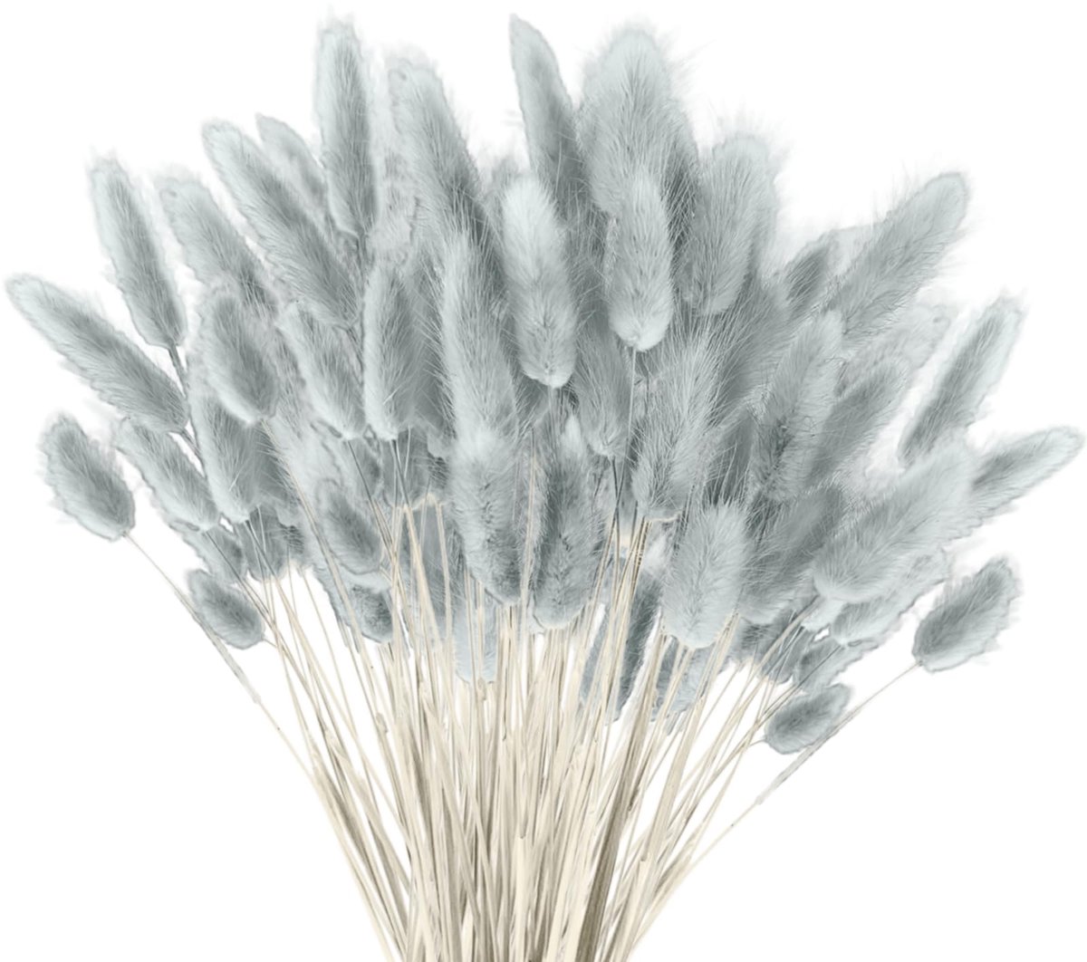 Dailygoods - 120 Stuks Gedroogde Pampasgras - Boho Bloemstukken Decoratie (Grijs)