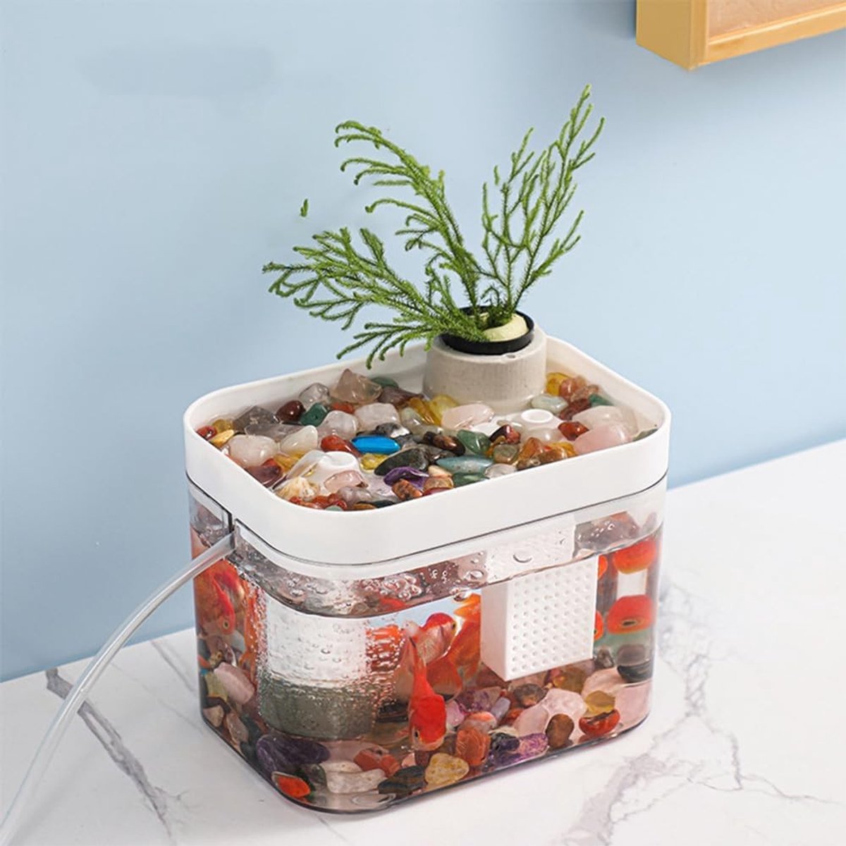 Klein Transparant Aquarium met Deksel en USB Luchtpomp, Ideaal voor Visverzorging en Ecologische Decoratie, 16 x 12 cm voor Woonkamer en Thuiswerkplek