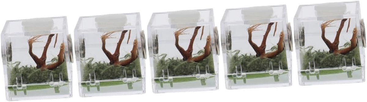 Kleine Dieren Terrarium - Insecten Kweekbakje - Kleine Huisdieren Houden - Transparant Acryl - 5x5x5 cm - Transparant