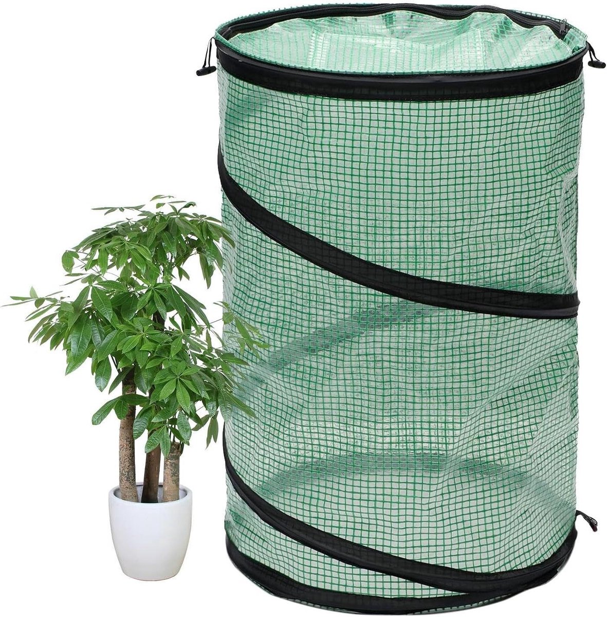 Kleine Kweekkas - Mini Kas - Planten Beschermen - Pop-up Ontwerp - 50 x 68 cm - Groen