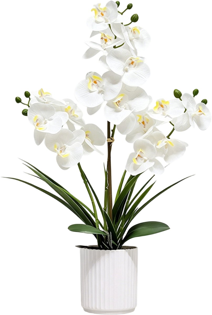 REDOM Kunstplant Kunstplantje 57 cm – Witte Phalaenopsis Orchidee in Pot – Onderhoudsvrij – Woonkamer Slaapkamer Kantoor – TPE+PVC – Wit