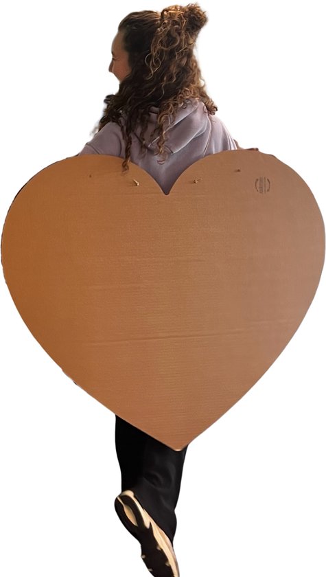 Kartonnen hart verkleedkostuum