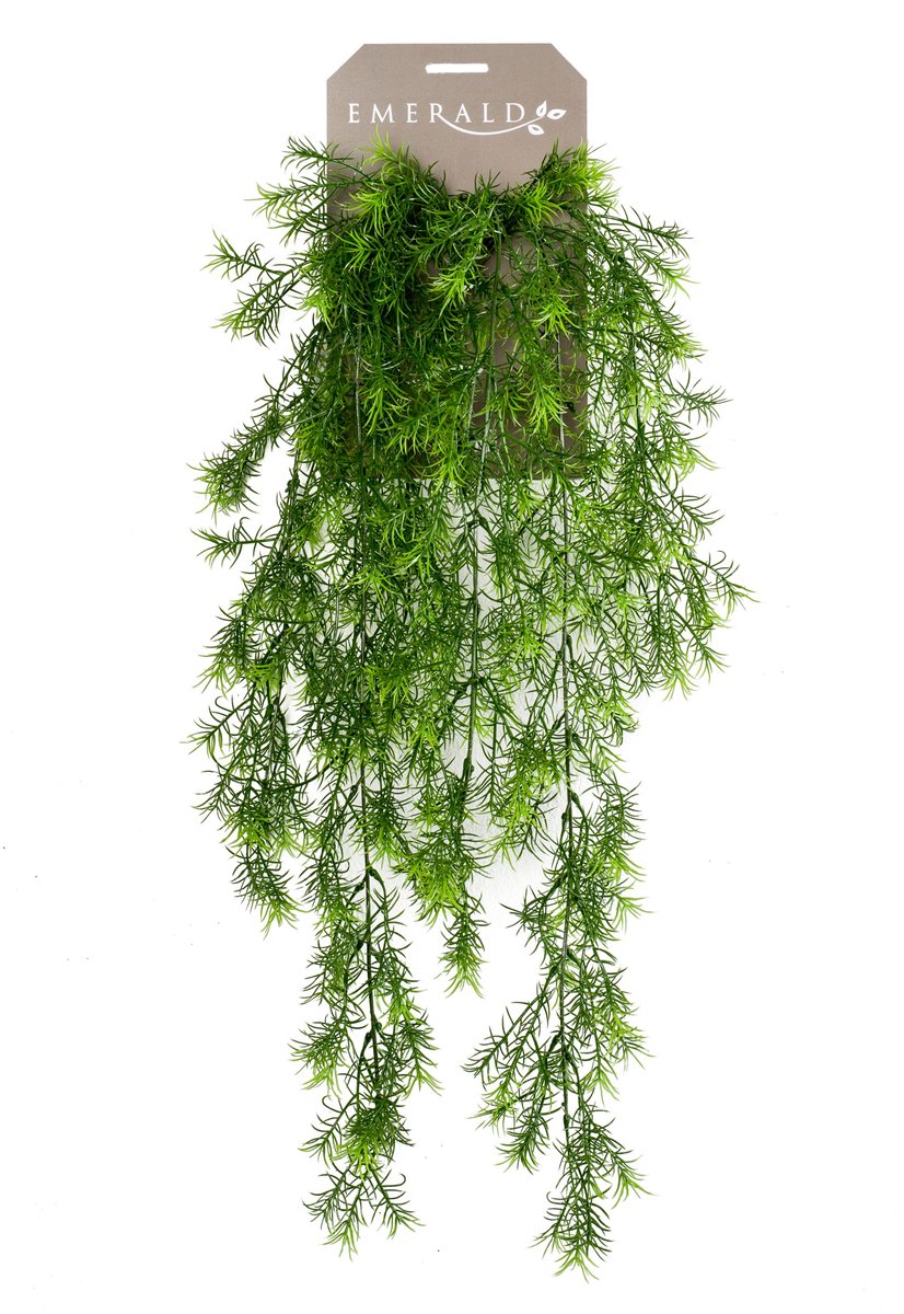 Emerald Kunst Hangplant Asparagus Sprengeri 75cm - Kunstplant voor binnen Groen
