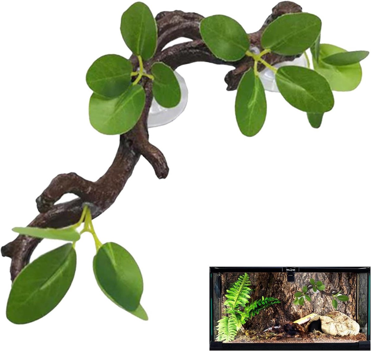 Reptielen Klimtak - Decoratie Terrarium - Stimuleer Spel - Natuurlijke Leefruimte - ca. 30 cm - Bruin