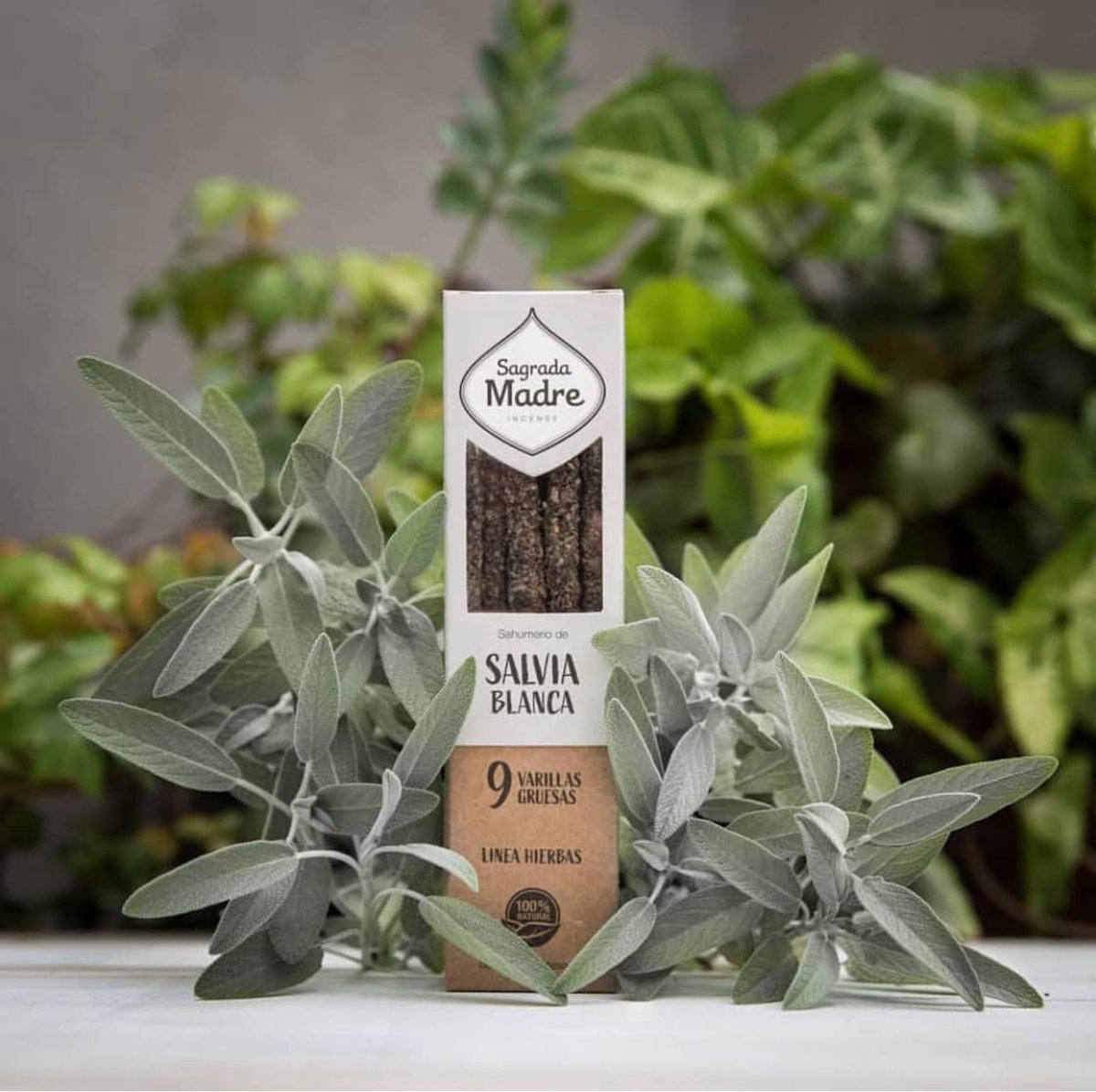 SnelShoppen - Witte Salie Wierook - 100% Ecologisch & Natuurlijk - Handgemaakt in Argentinië - Plantaardig Bindmiddel - Zonder Kolen & Chemische Toevo
