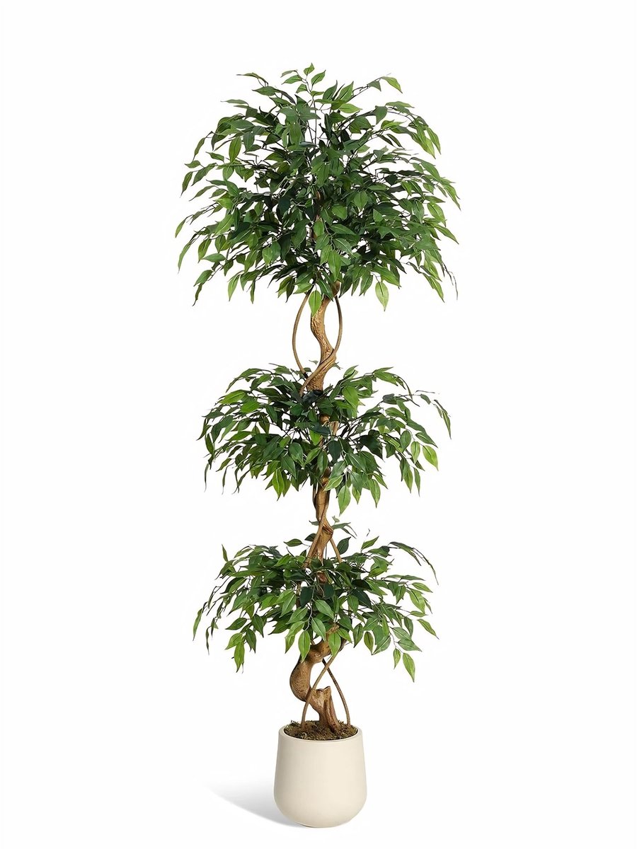 Kunstmatige Ficusboom - Met Gebogen Stam en Luxe Planter - voor woonkamer en kantoor - 183 cm Groen Kunstzijde - 152 cm