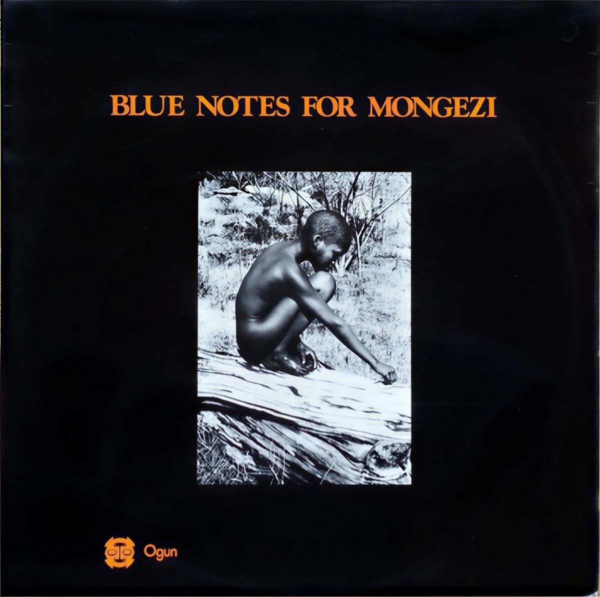 Blue Notes - Blue Notes For Mongezi