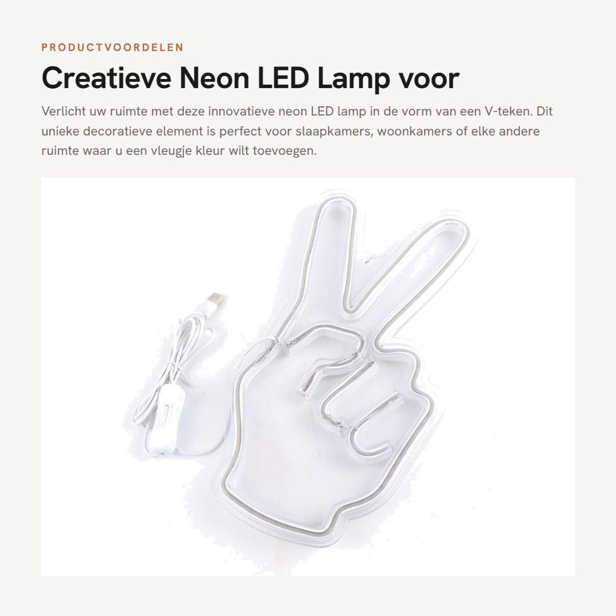 Dailygoods- Neon Sign - Creatieve Decoratieve Lamp - LED Neon Verlichting - USB Aansluiting - Veilig en Betrouwbaar - Geschikt voor Slaapkamer en Woonkamer
