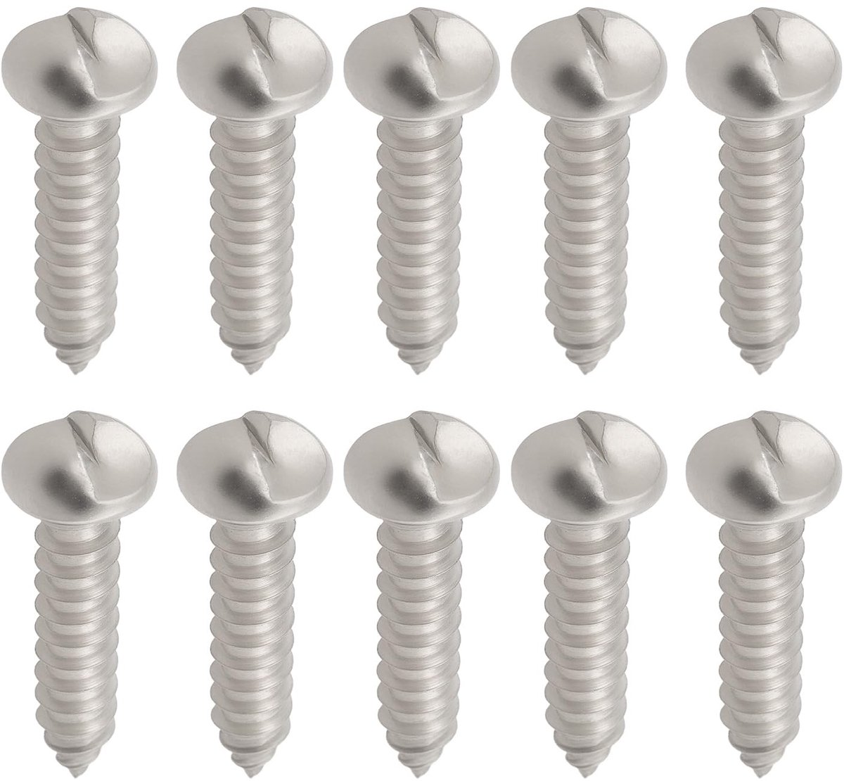 Dailygoods- Nummerplaat Schroeven - 40 Stuks - Anti-Diefstal Beveiligingsschroeven - Heavy Duty - 304 Roestvrij Staal - Eenvoudig te Installeren - Veiligheidsschroeven