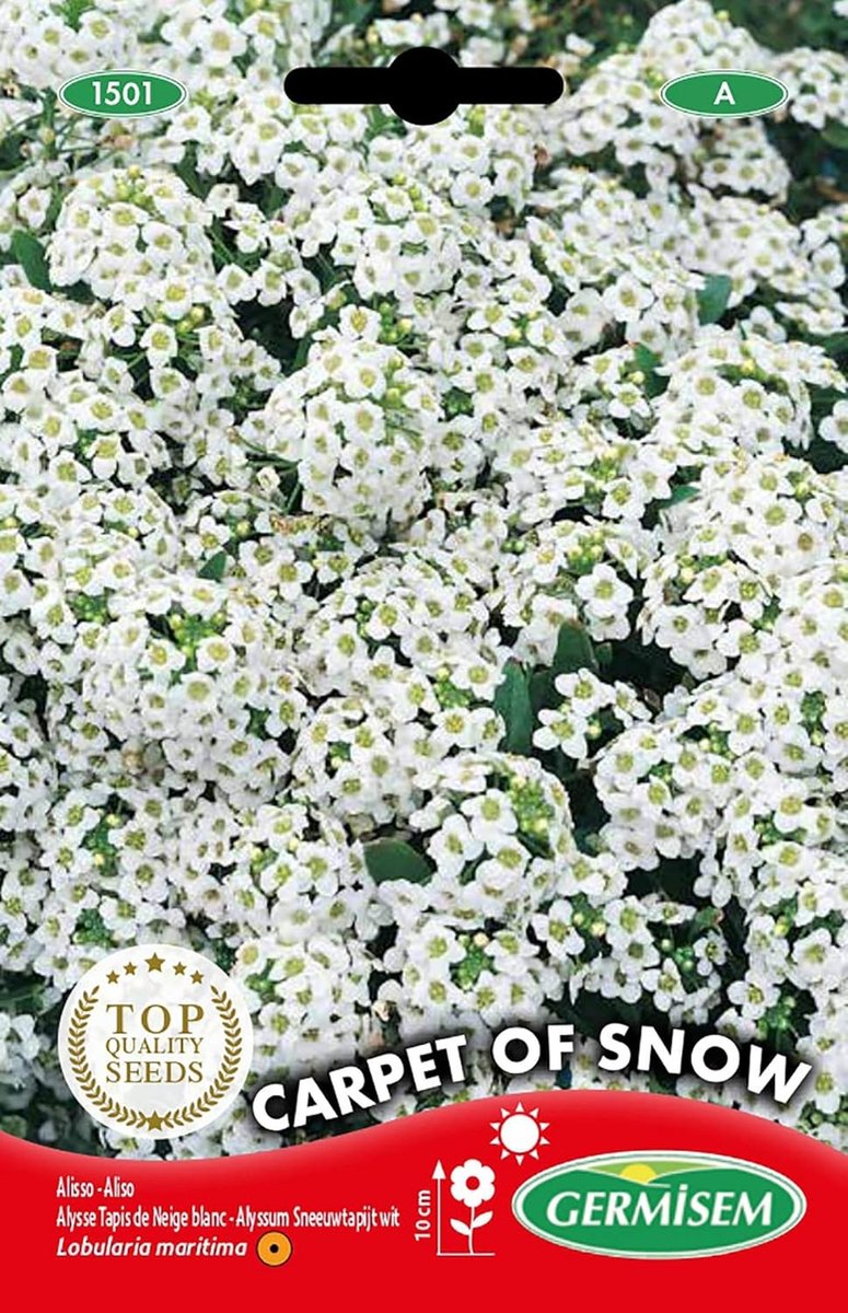 Bloemzaden - Alyssum - Voordelige Oogst - Eenvoudig te Zaaien - Voor Tuinliefhebbers