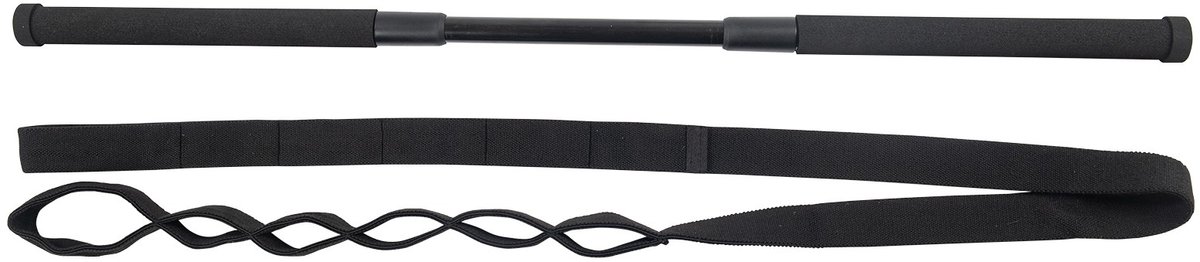 Taurus Weerstandtrainer 2.0