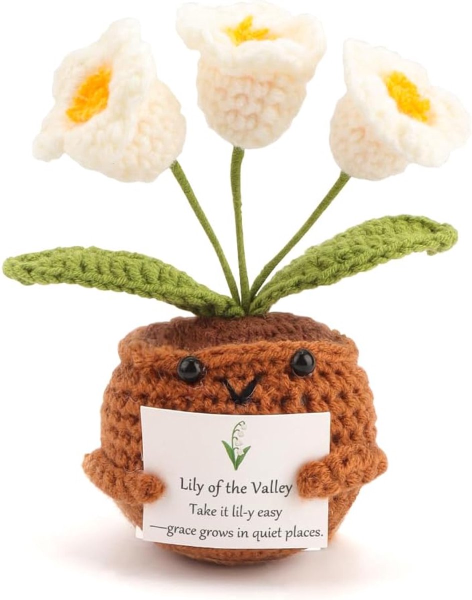 Gehaakte bloemenfiguur met affirmatiekaart - handgemaakt - emotionele steun - perfect als verjaardagscadeau - ShopVlot