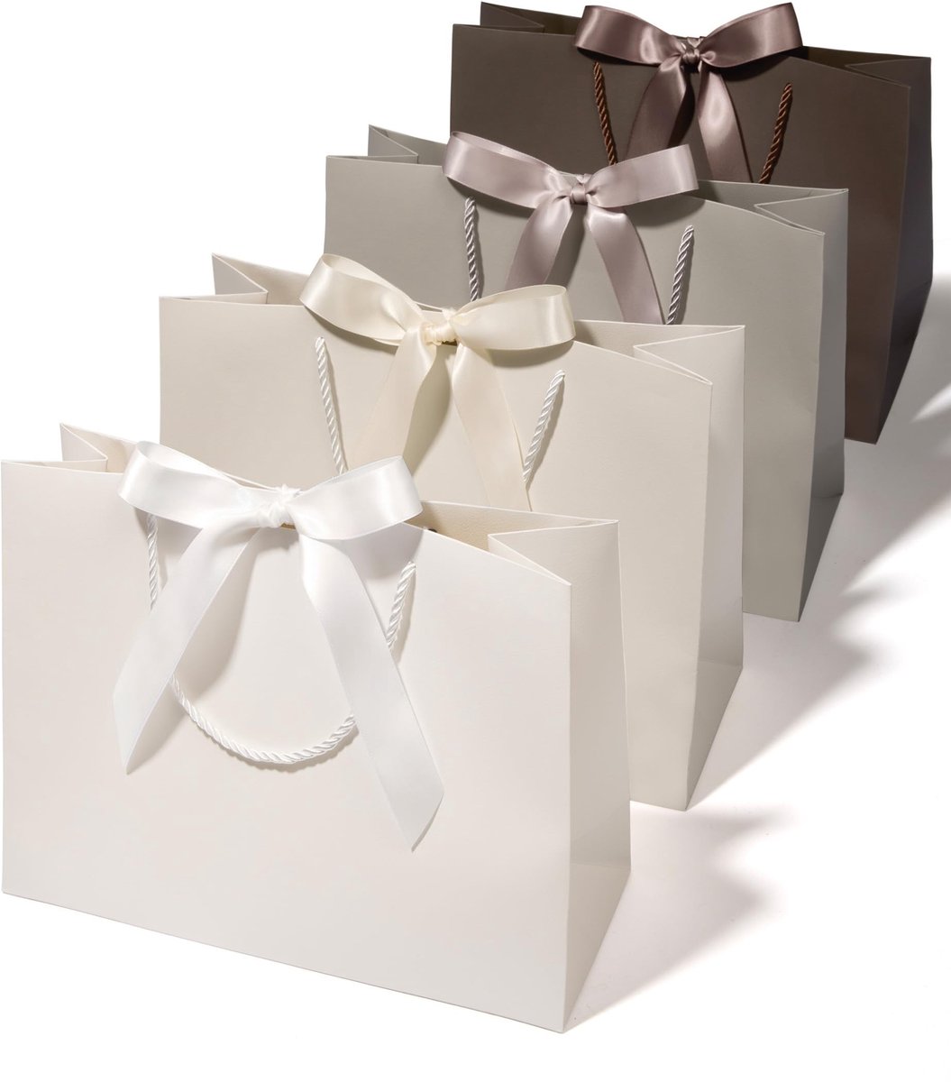Solidchoice - Set van 4 Grote Papieren Cadeauzakjes met Handgrepen in Grijs
