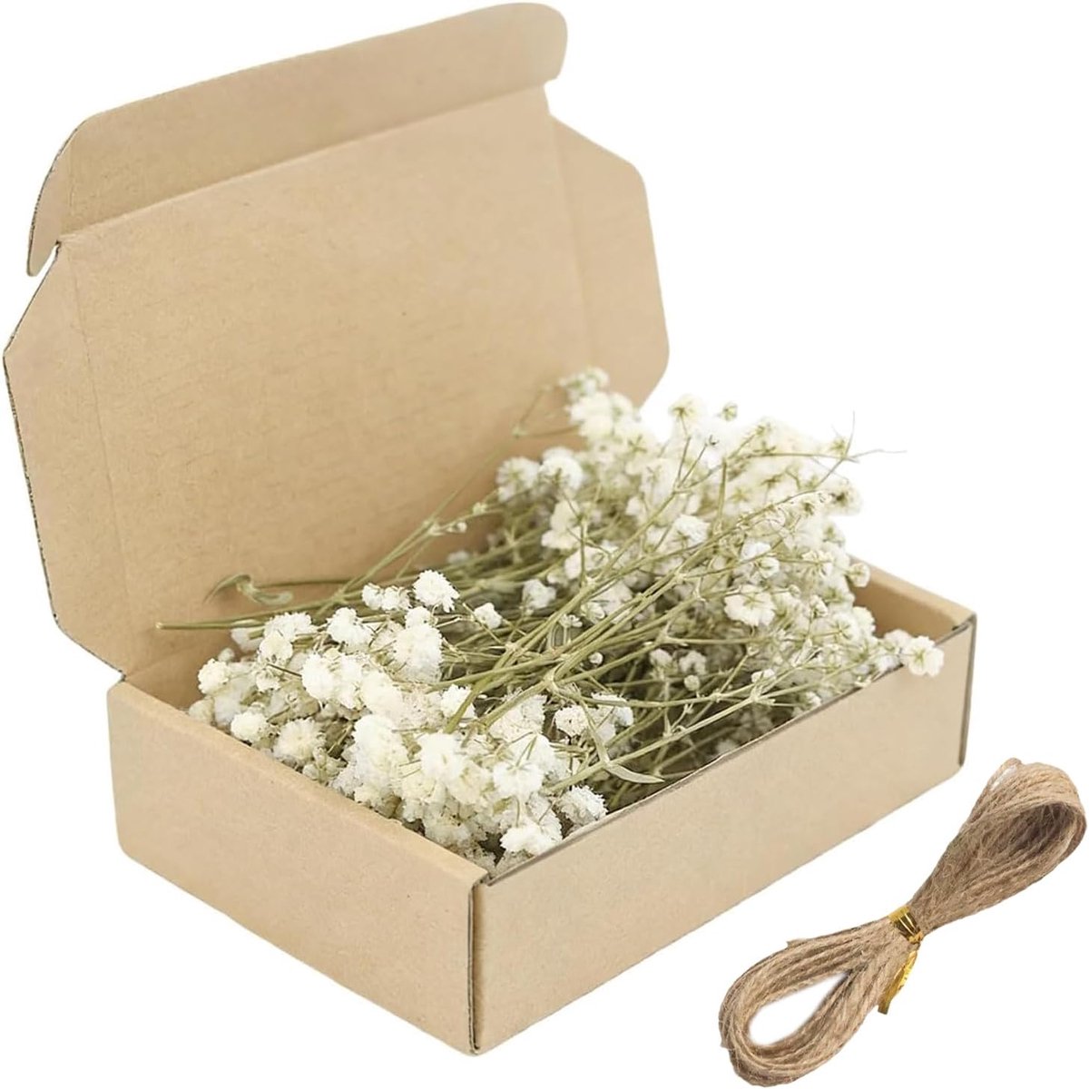 Gypsophila gedroogde mini-bloemen - natuurlijke bloemen - elegant voor handwerk - ShopVlot