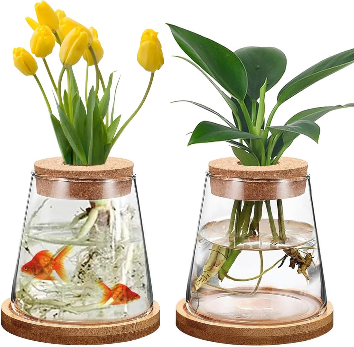 Hydroponische planten vazen 2 stuks - glazen vaas met basis - transparant ontwerp - perfect voor interieurdecoratie - ShopVlot