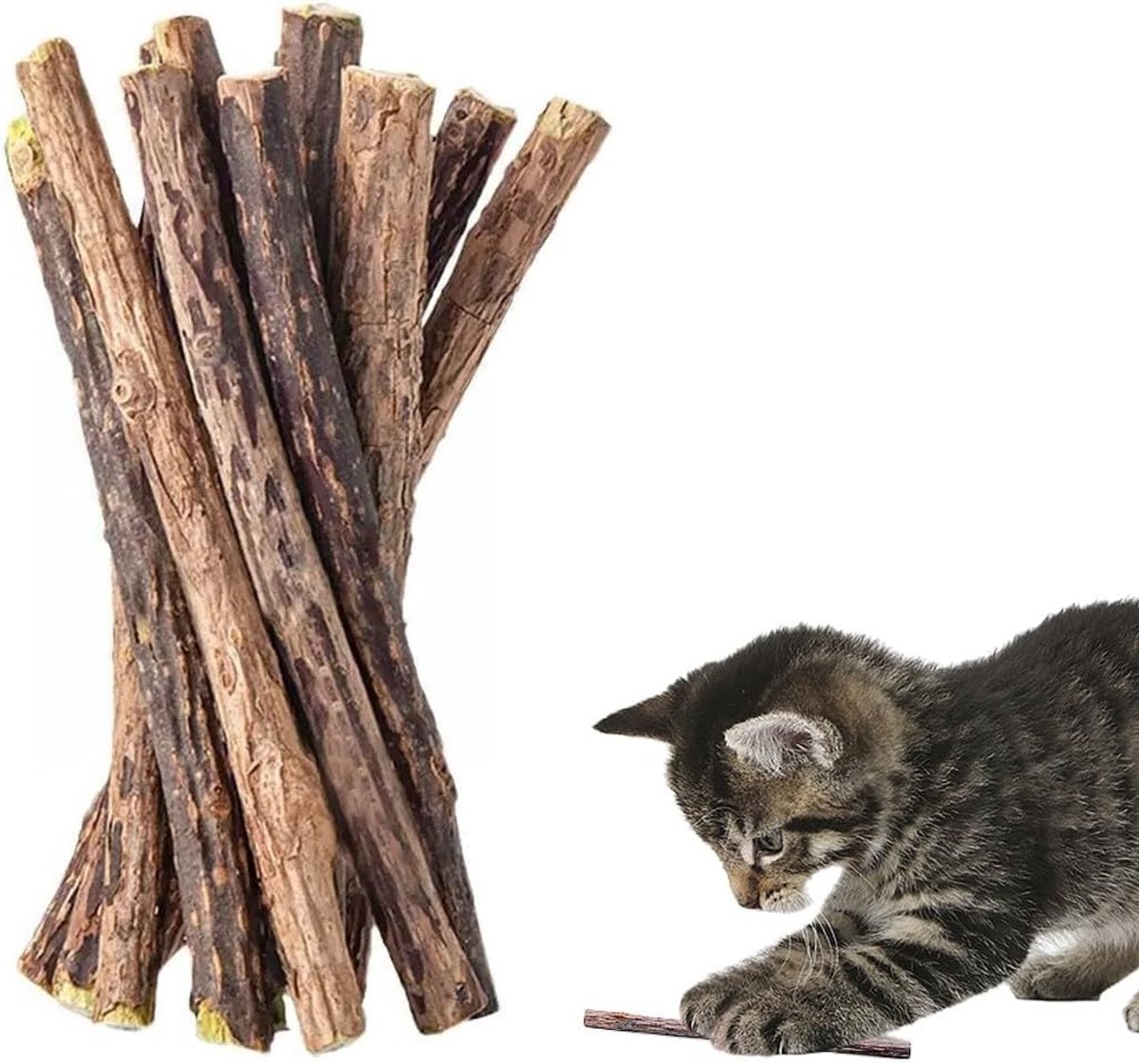 Matatabi houten sticks voor katten - 24 stuks - natuurlijk kauwspeelgoed - bevorderlijke tandhygiëne - ShopVlot
