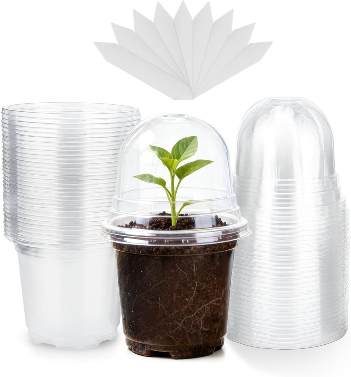12 Stuks 10cm Doorzichtige Plastic Plant Potten met Vochtigheidsdome voor Zaailingen, Stekken en Vetplanten met 12 Plant Labels
