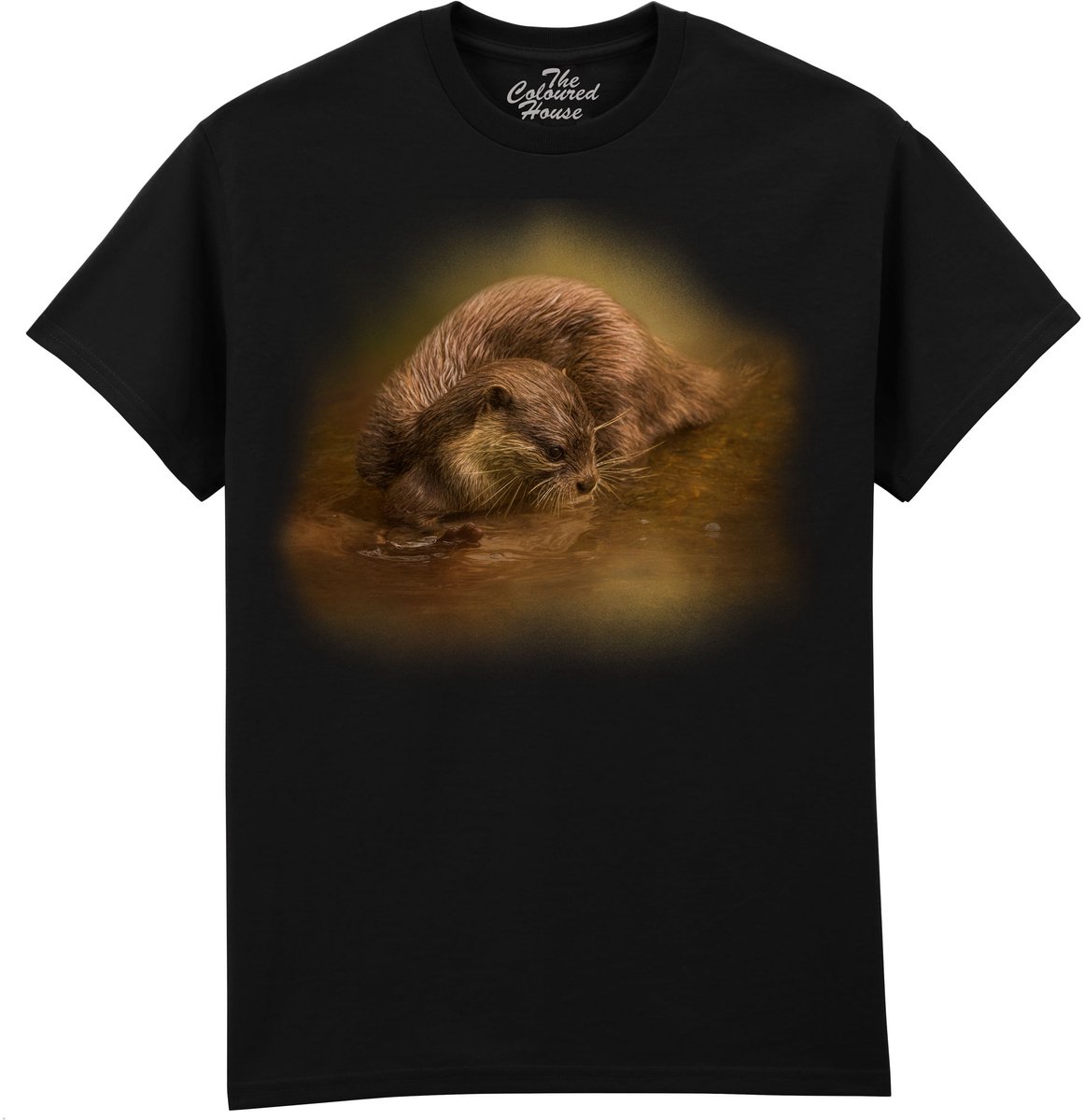 Otter Curiosity The Coloured House T-shirt L
