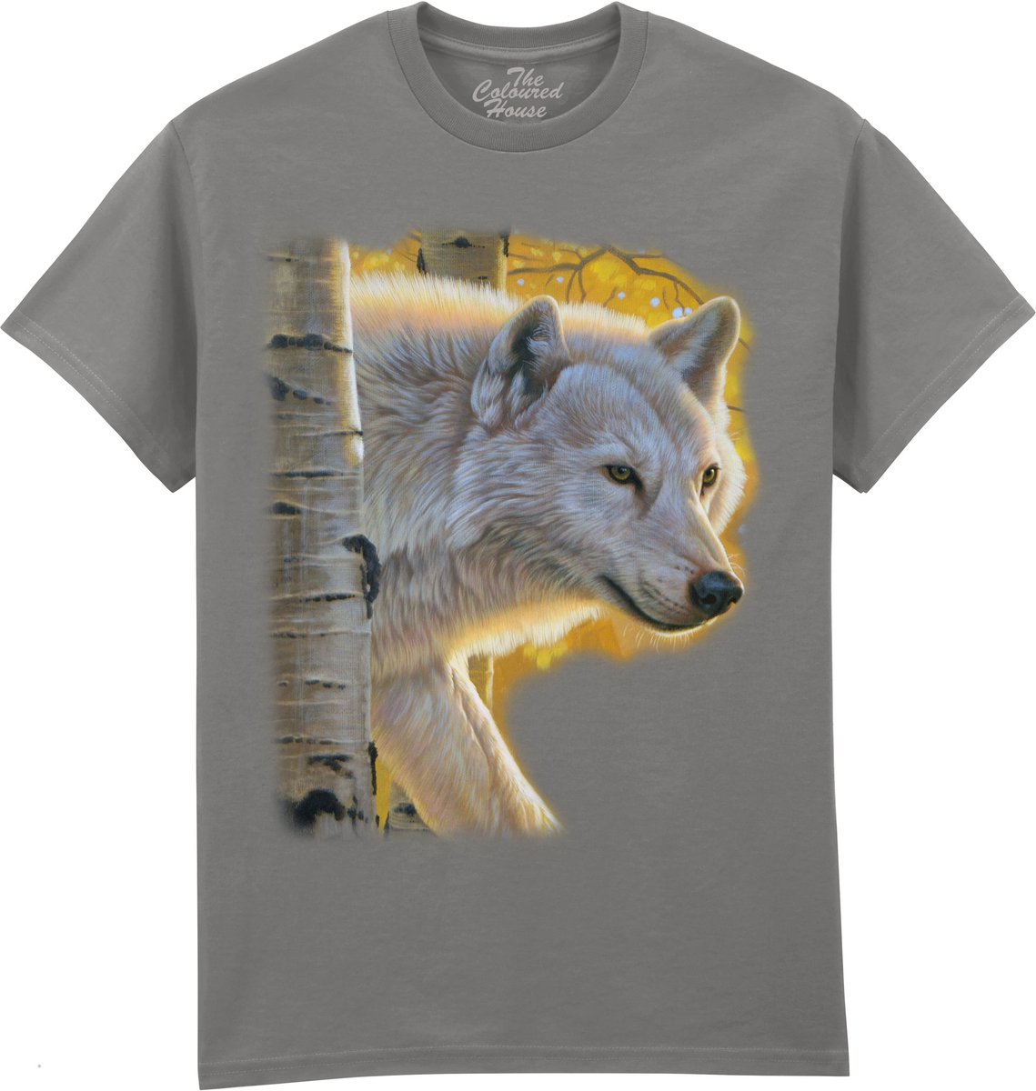 Aspen Wolf The Coloured House T-shirt M