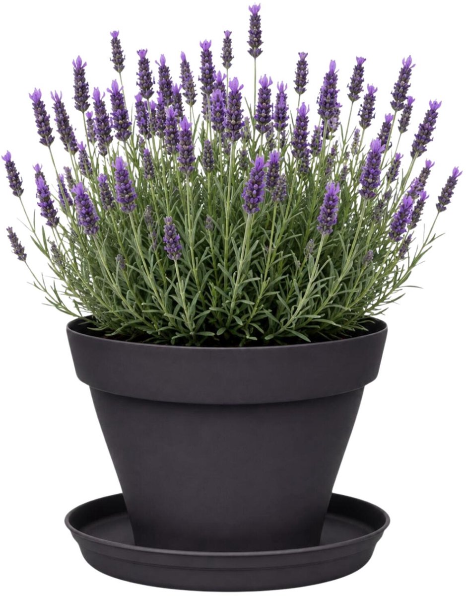 EDA Romeo Bloempot en onderschaal - D30 x H23 cm - antraciet - kunststof - binnen en buiten