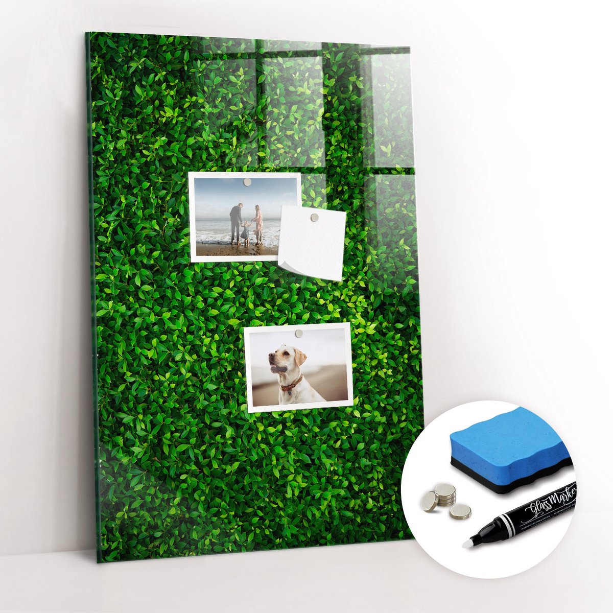 Tulup Whitebord - bladeren van de schuttingplant - 40 x 60 cm - Groente Magneetbord Keuken - Gratis 5 Sterke Magneten + Whiteboard Marker & Wisser - Decoratief Magnetisch Bord - Magnetisch Memobord - Inspiratiebord Kantoor
