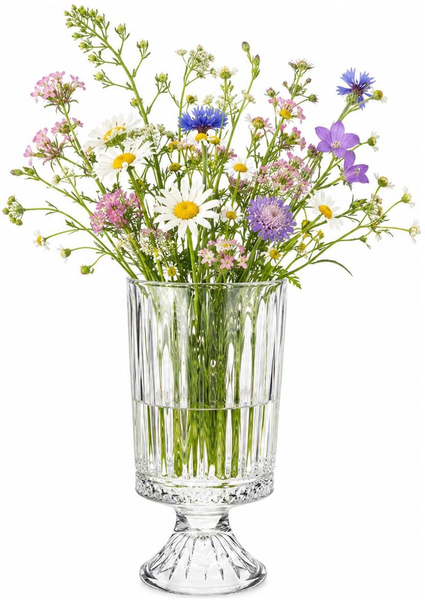 Alessandro bloemenvaas Le Bouquet - transparant bewerkt glas - H23 cm - cilinder vorm - op voet