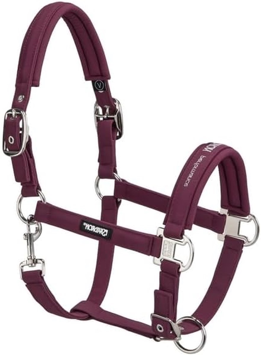 Halster met Dubbele Gesp - Paardenhalster Softshell - Paardrijden Comfort - Softshell Voering - Verstelbaar - Zwart
