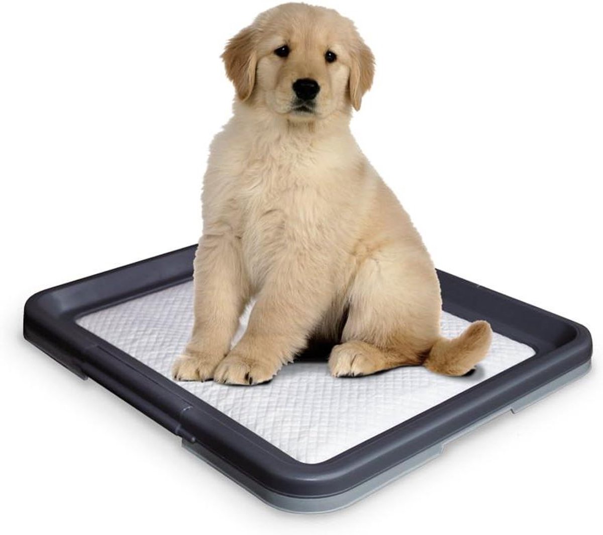 Honden Trainingsmat - Hondenmat Hondentoilet - Puppy Training - Absorbeert Vocht Geuren - 625 x 48 cm - Grijs