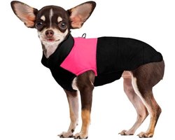 Winterjas voor kleine honden